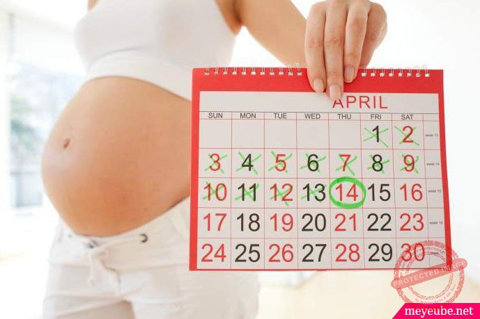 Xác đinh thời điểm thụ thai dễ dàng nhất ở phụ nữ