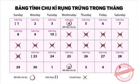 Khi rối loạn rụng trứng, mọi tính toán theo chu kỳ đều sẽ không còn tác dụng.
