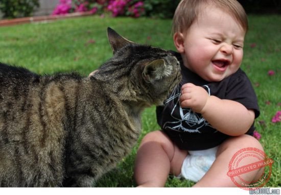 Cách đơn giản nhất cha mẹ có thể làm để cải thiện chỉ số EQ ở trẻ em là cho trẻ tiếp xúc với những con vật nuôi và để trẻ tự khám phá thế giới bên ngoài.