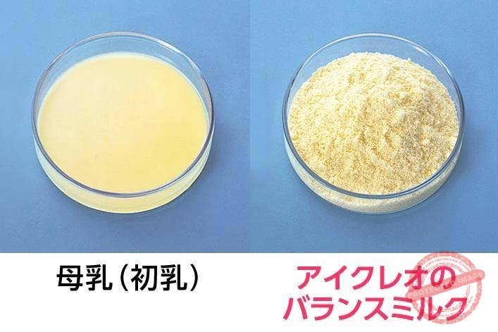 So sánh sữa công thức Meiji và Glico của Nhật, đâu là lựa chọn tốt nhất cho bé yêu?