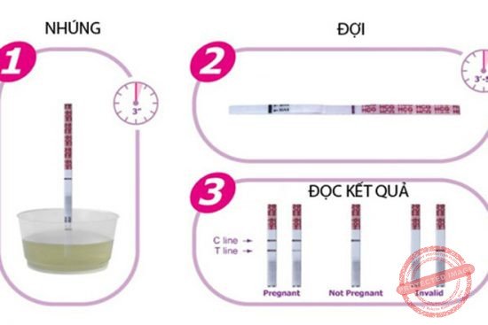 Các bước sử dụng que thử thai cơ bản.